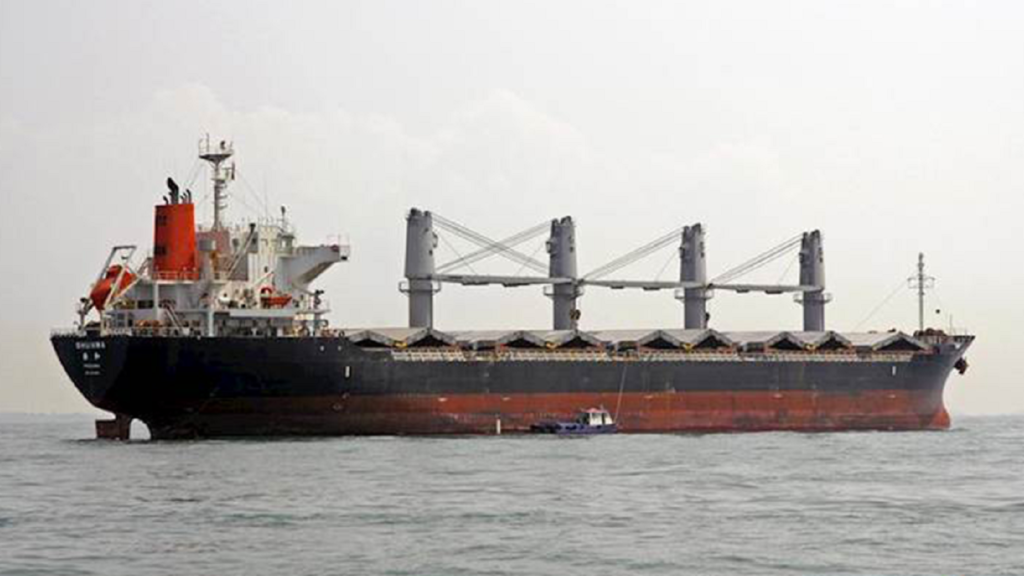 Cargo ship linked to a new method for tracing stolen Crimean grain shipments to Libya
